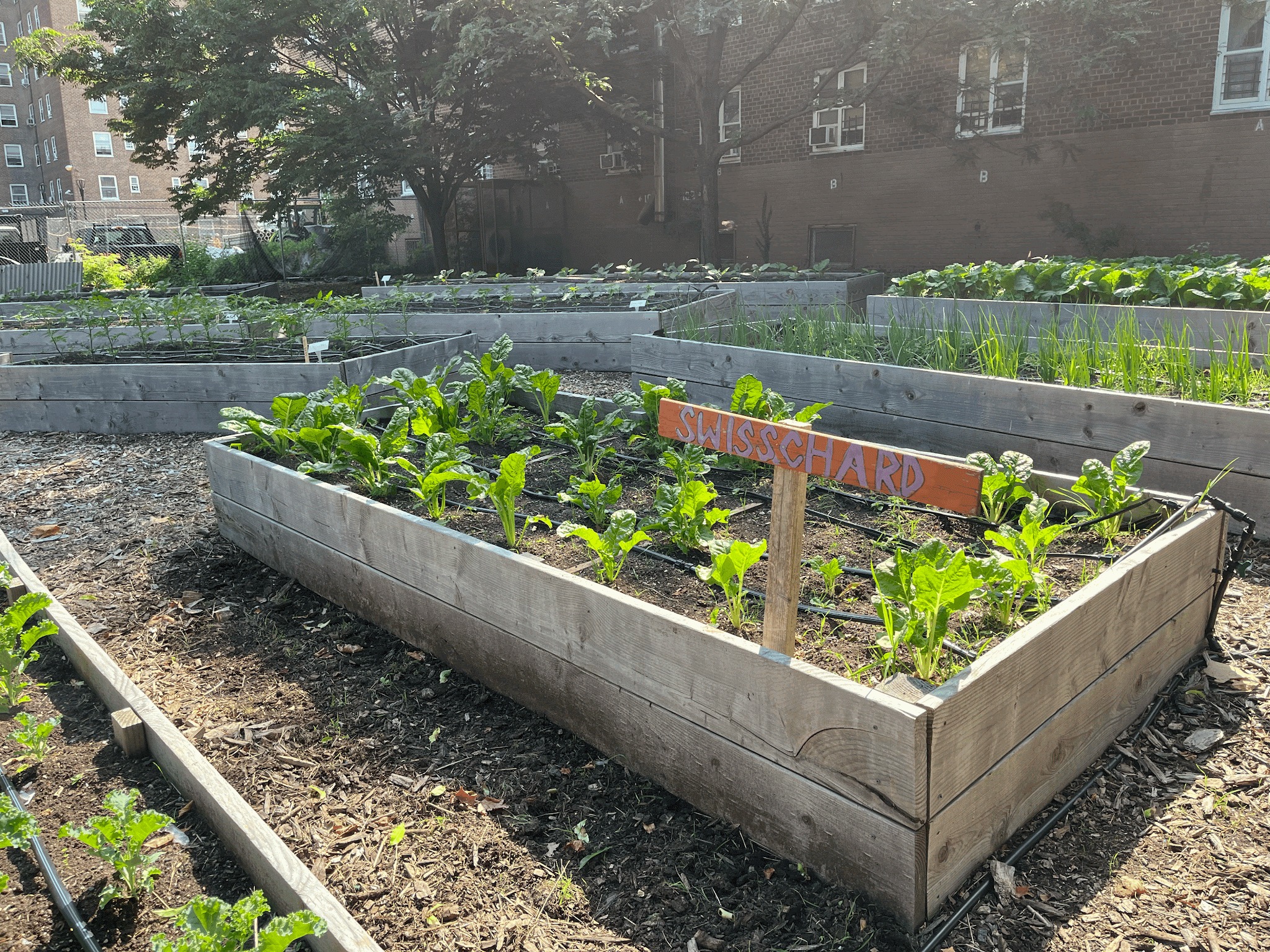 Garden Club